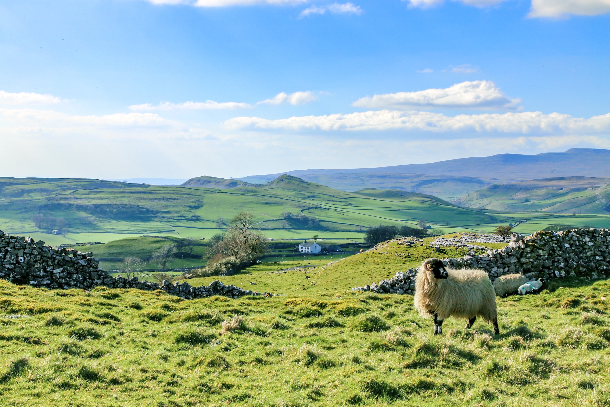 A spectacular view of the North York Moors
